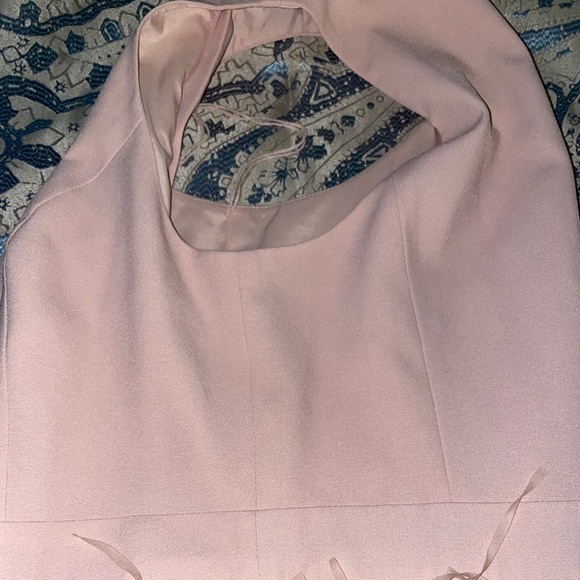 Aidan By Aidan Mattox Blush Fringe Dress - Picture 5 of 5